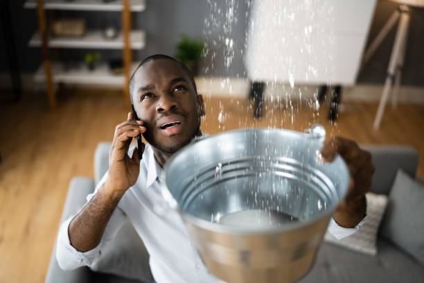 Best Water damage cleanup near me  in Cumberland, MD