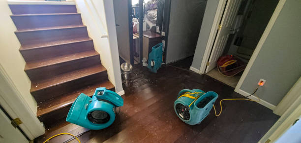 Best Ceiling water damage repair  in Cumberland, MD