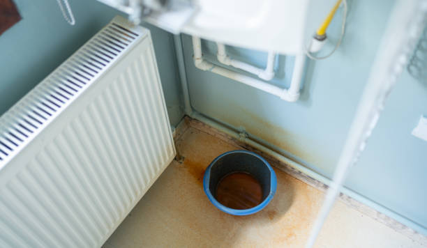 Best Water damage contractors near me  in Cumberland, MD