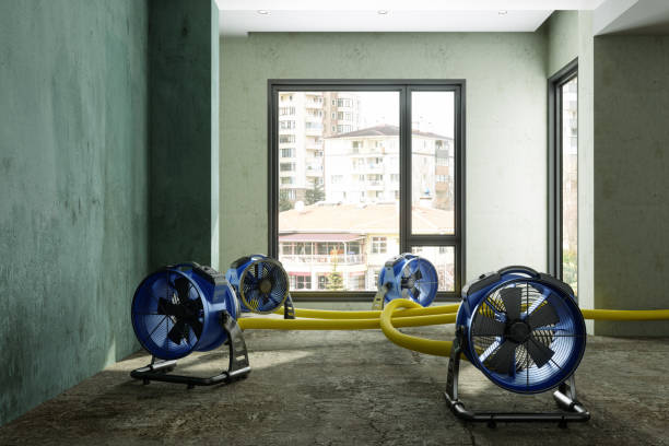 Best Water damage restoration near me  in Cumberland, MD