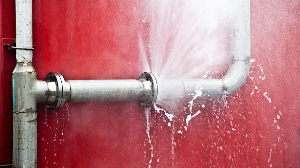 Best Professional water damage repair  in Cumberland, MD